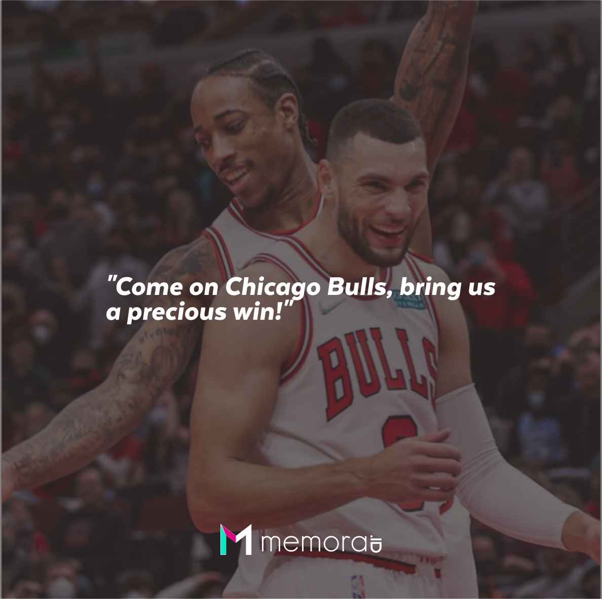Quotes For Chicago Bulls