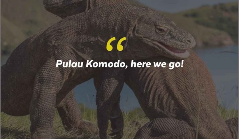 Quotes Aesthetic Tentang Pulau Komodo dan Kata-Kata Mutiara Liburan di Pulau Komodo