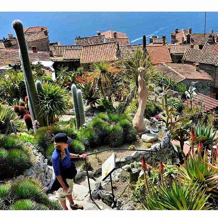 4 Spot Traveling Terseru di Monako, Santuy di The Jardin Exotique