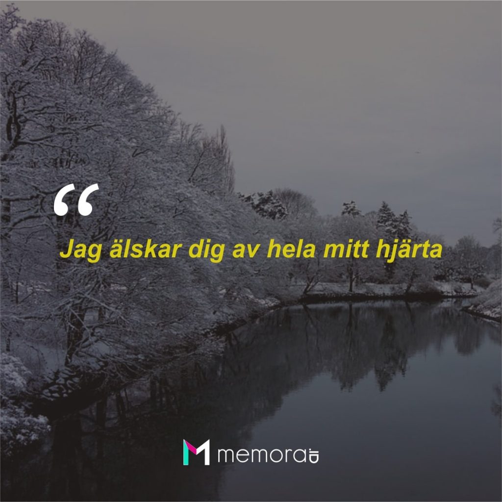 Kata-kata Cinta Romantis Bahasa Swedia