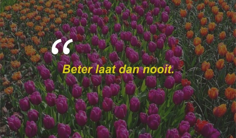 Quotes Bijak Bahasa Belanda