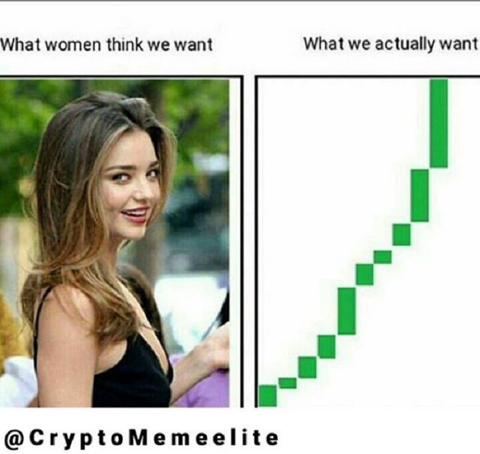Meme Crypto tentang Bitcoin dan Doge