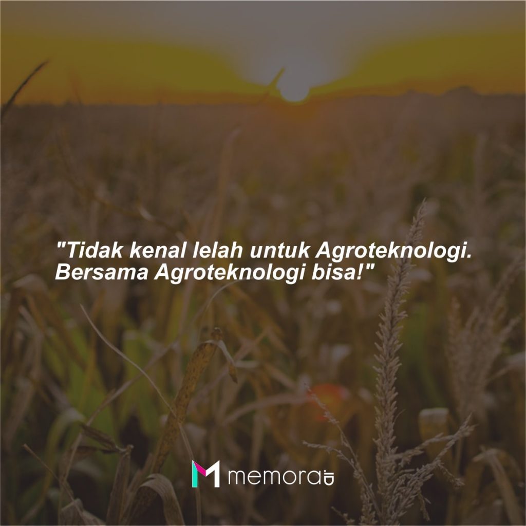 Kata-kata Mutiara Agroteknologi