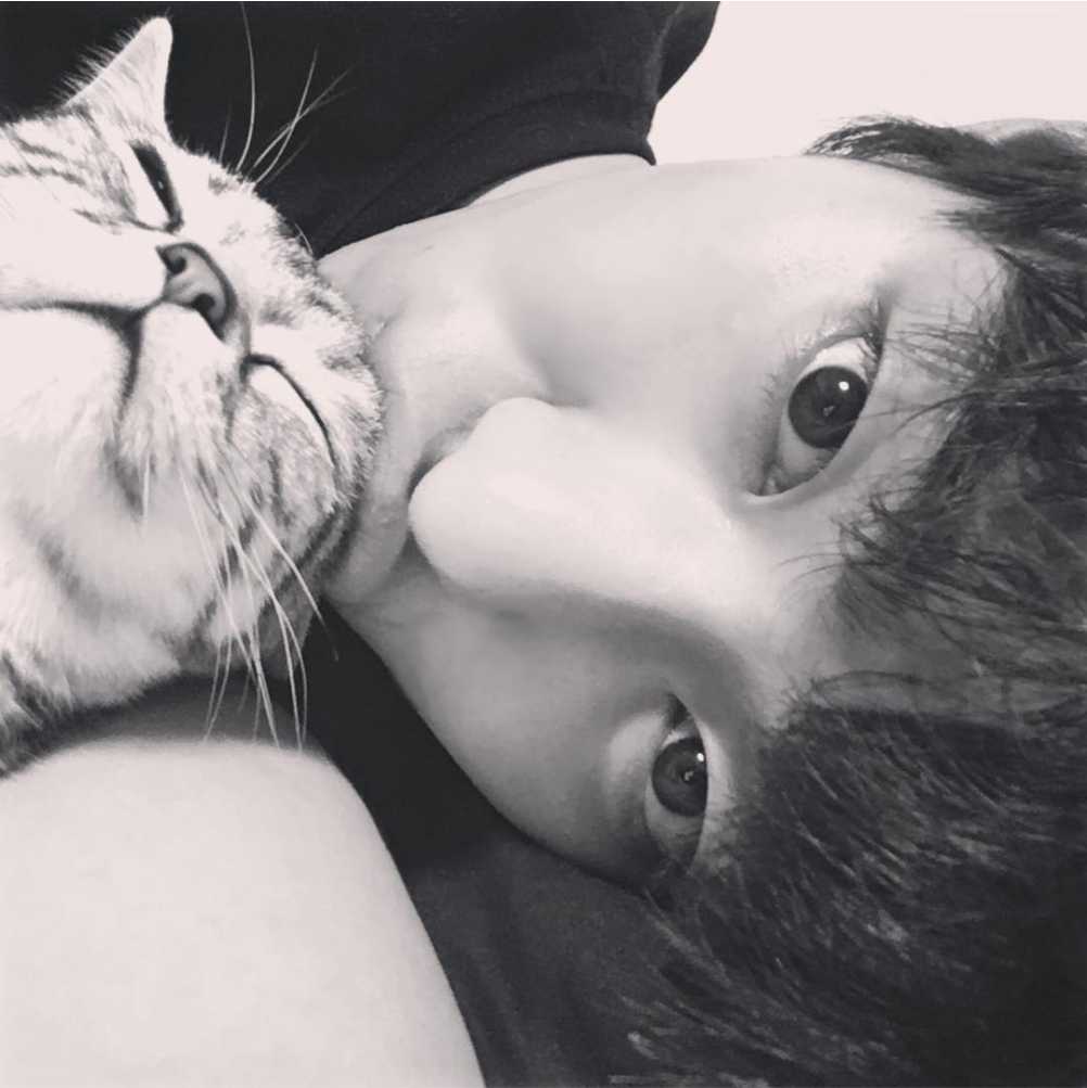 Ahn Hyo Seop cat