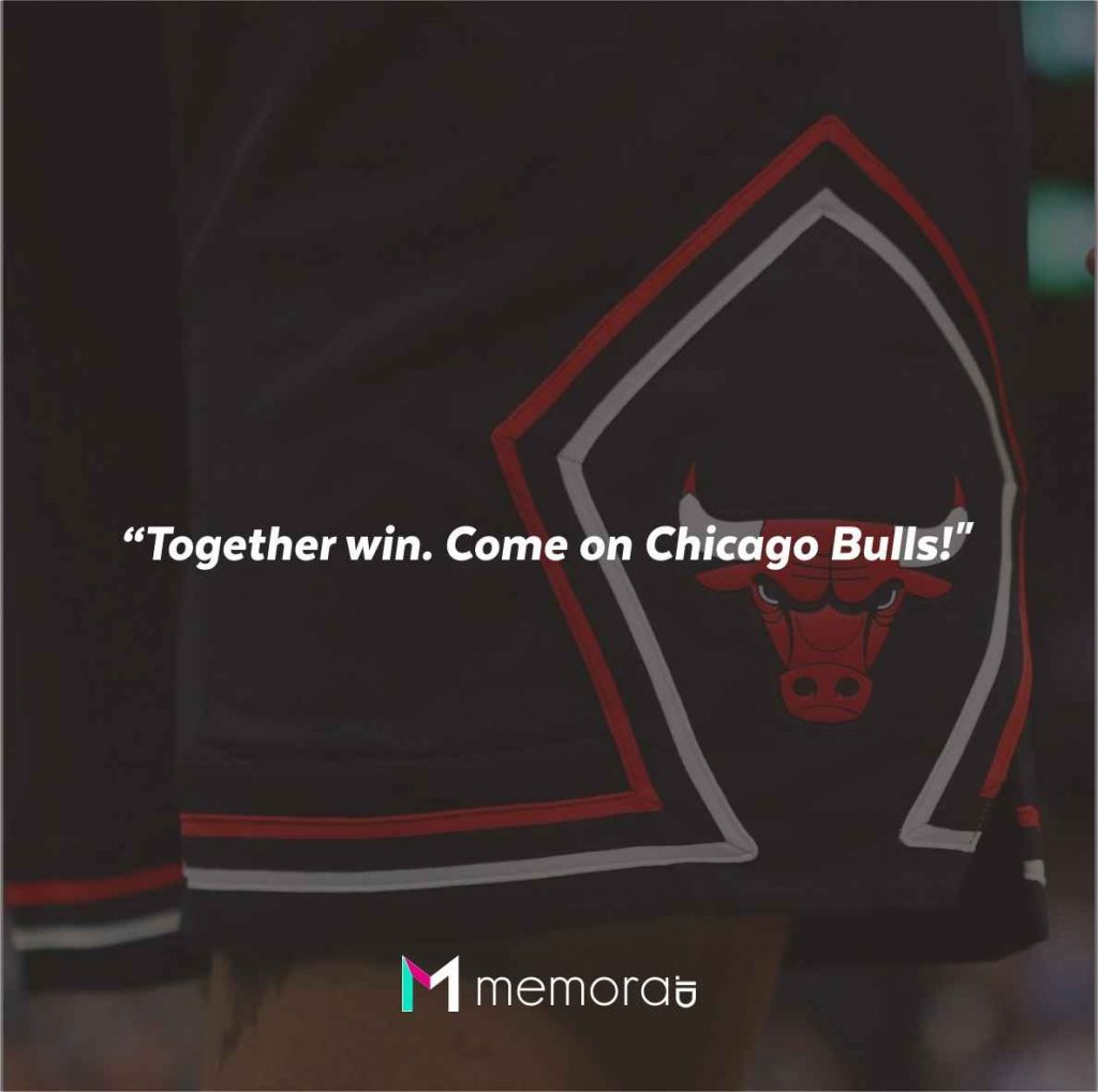 Quotes For Chicago Bulls