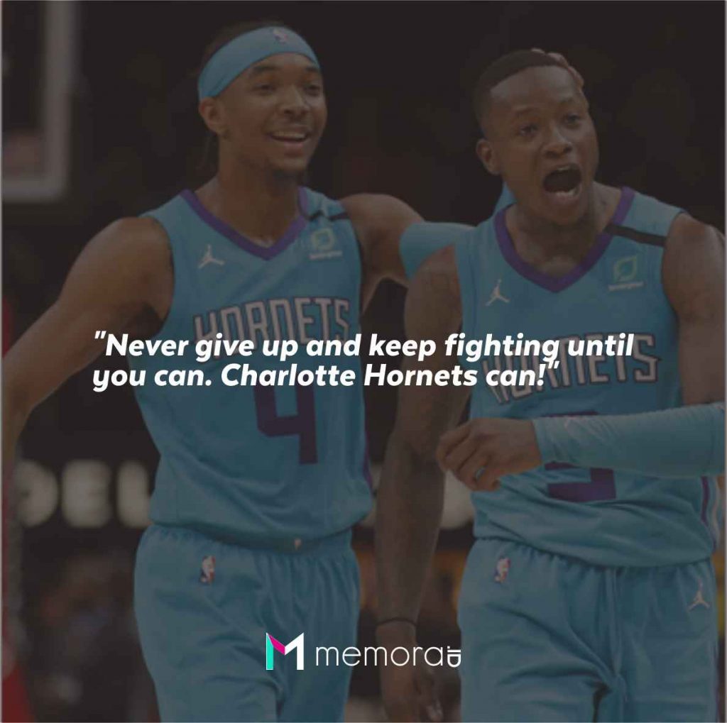 Quotes For Charlotte Hornets