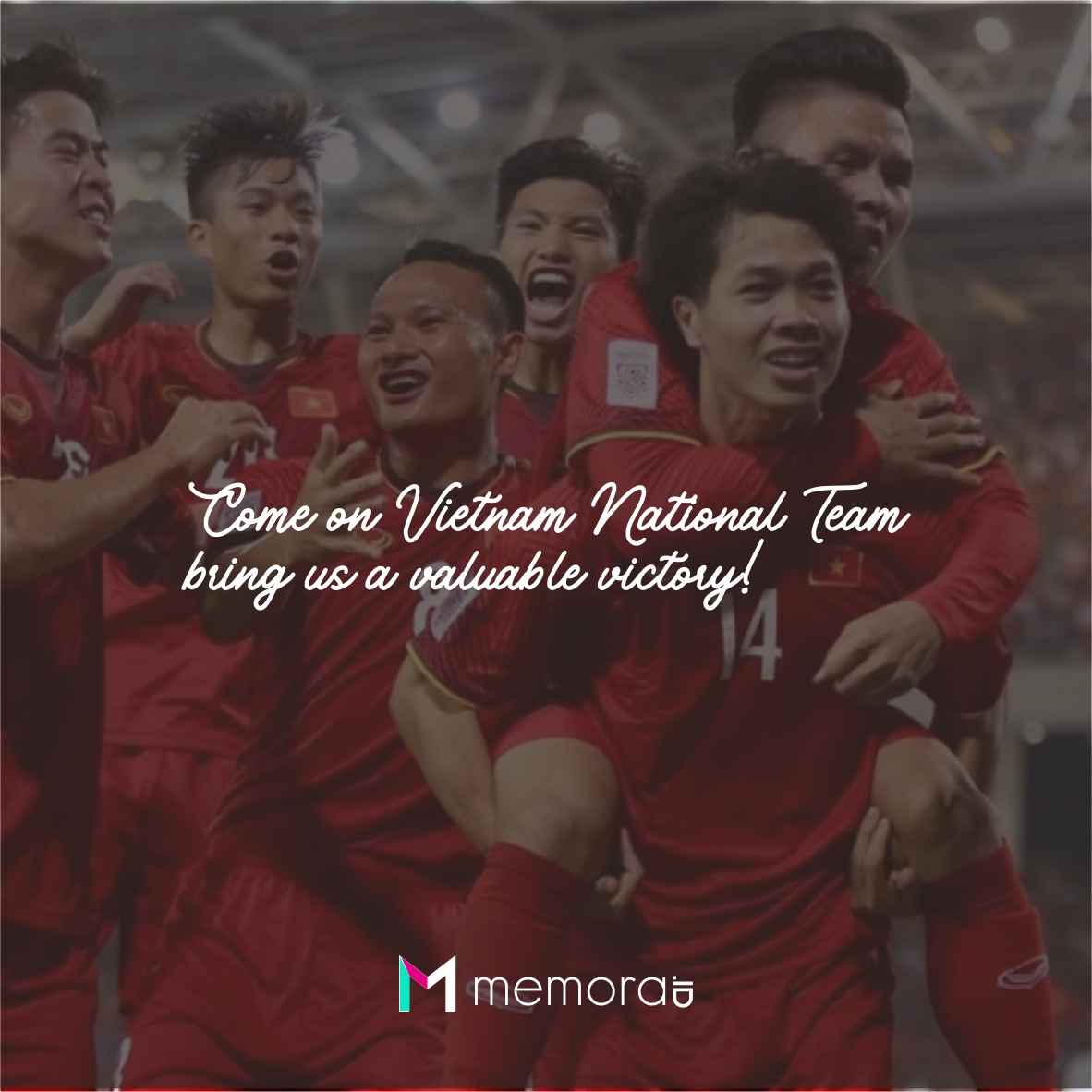Quotes for Vietnam National Team