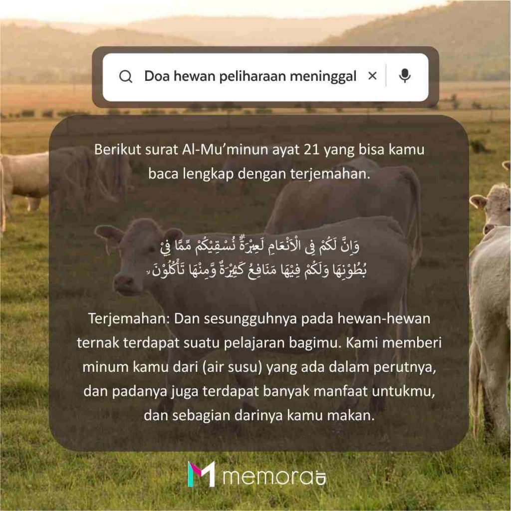 Doa Hewan Peliharaan Meninggal Dunia