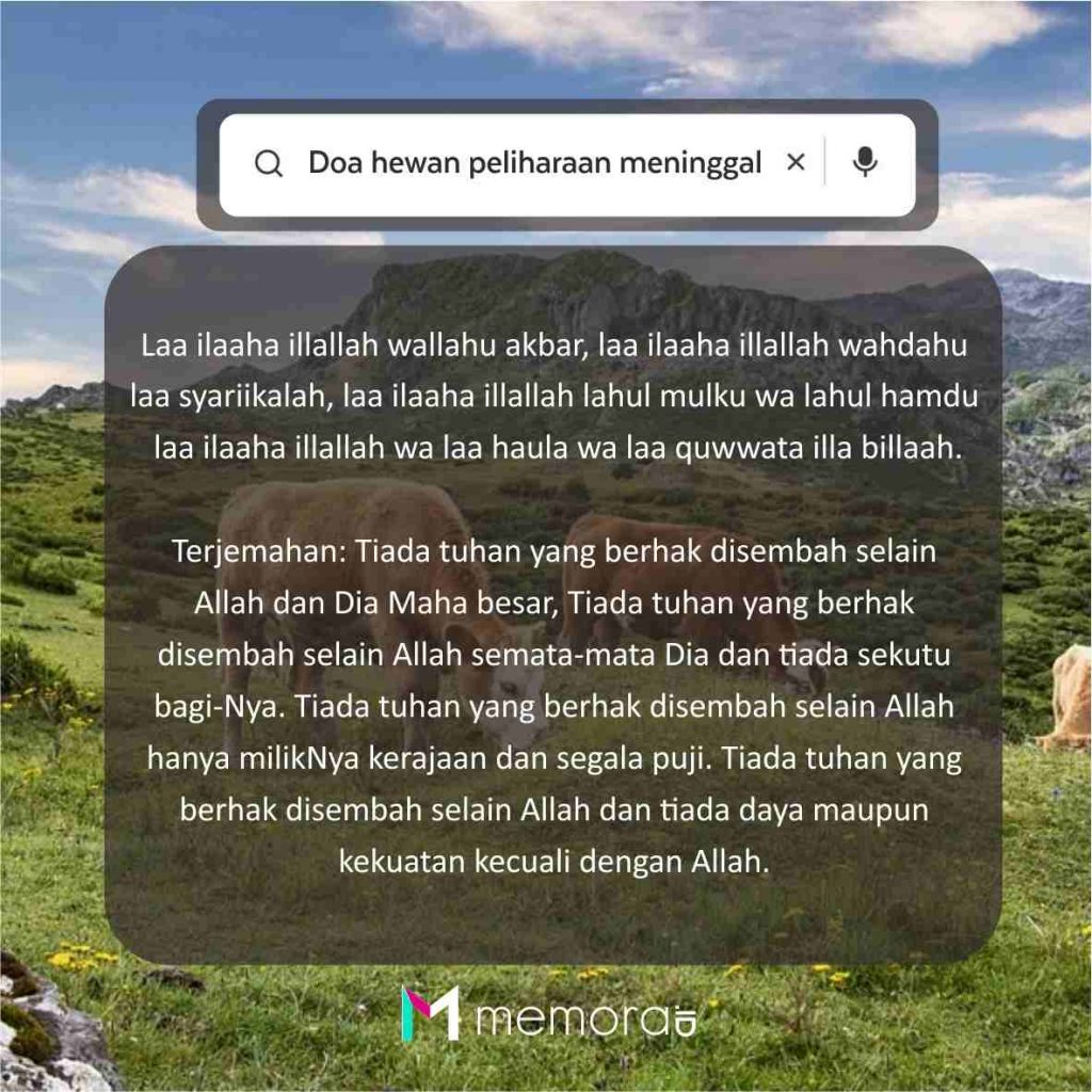 Doa Hewan Peliharaan Meninggal Dunia