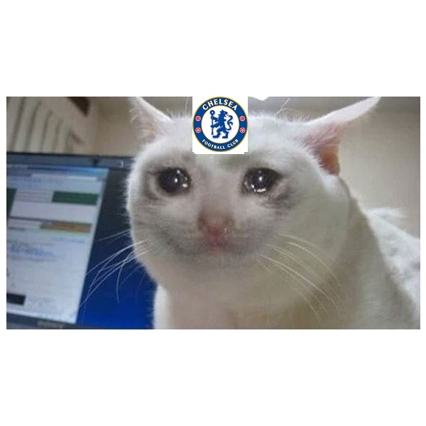 Chelsea Memes When the Team Loses