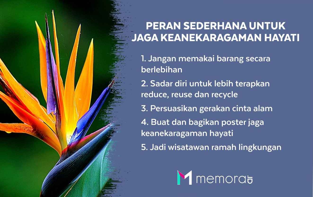 Peran Sederhana Untuk Jaga Keanekaragaman Hayati