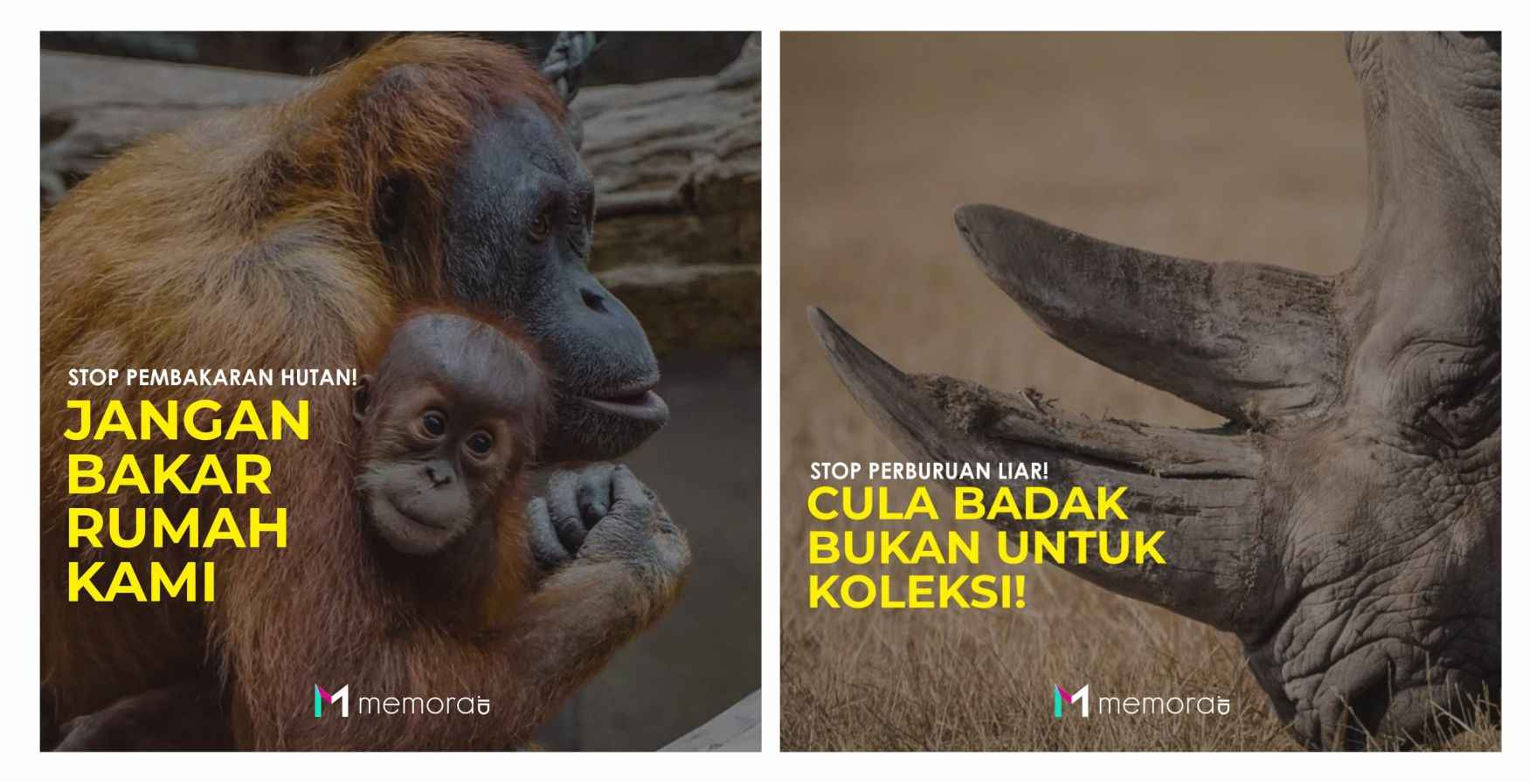 Buat dan bagikan poster jaga keanekaragaman hayati