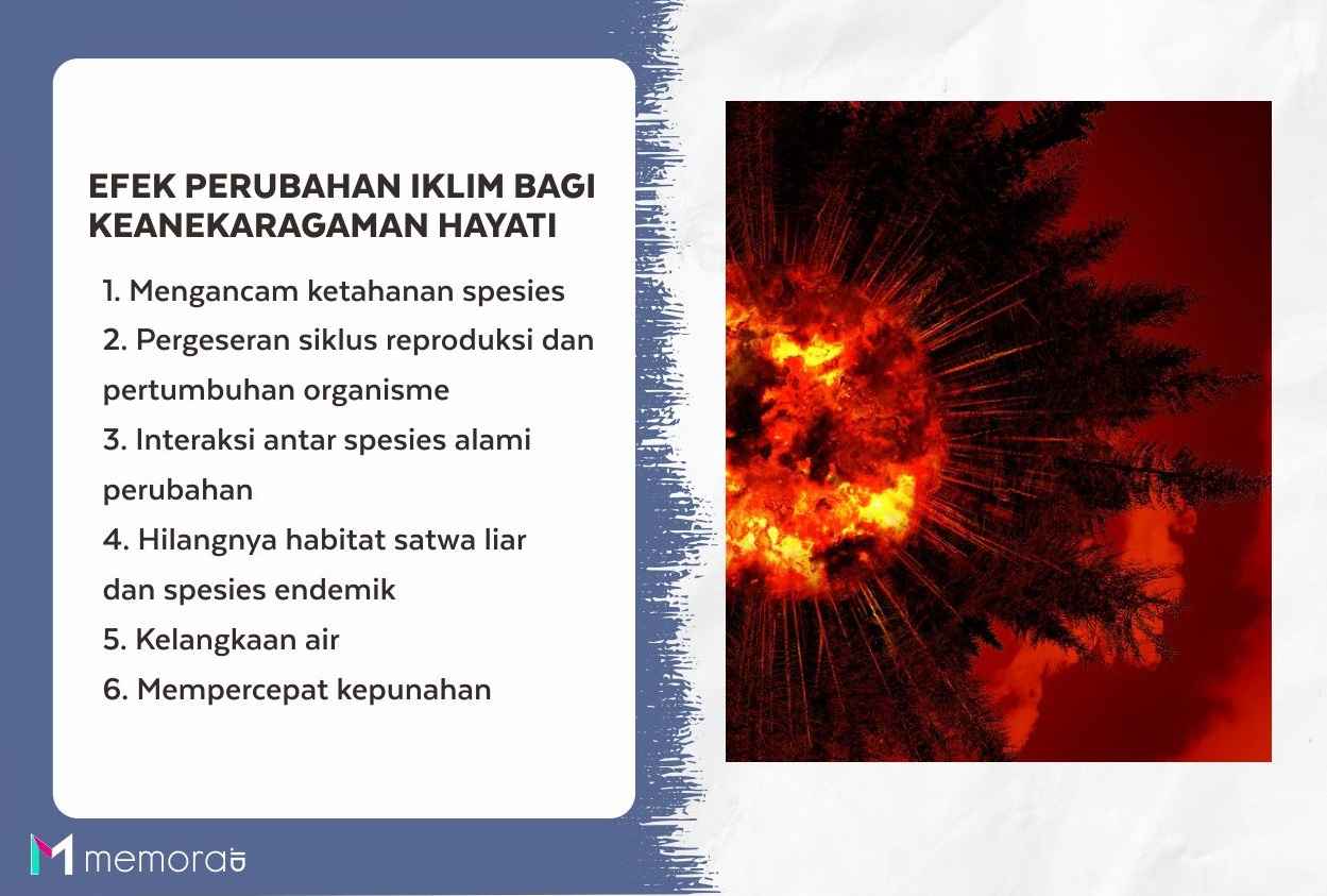 Efek Perubahan Iklim Bagi Keanekaragaman Hayati