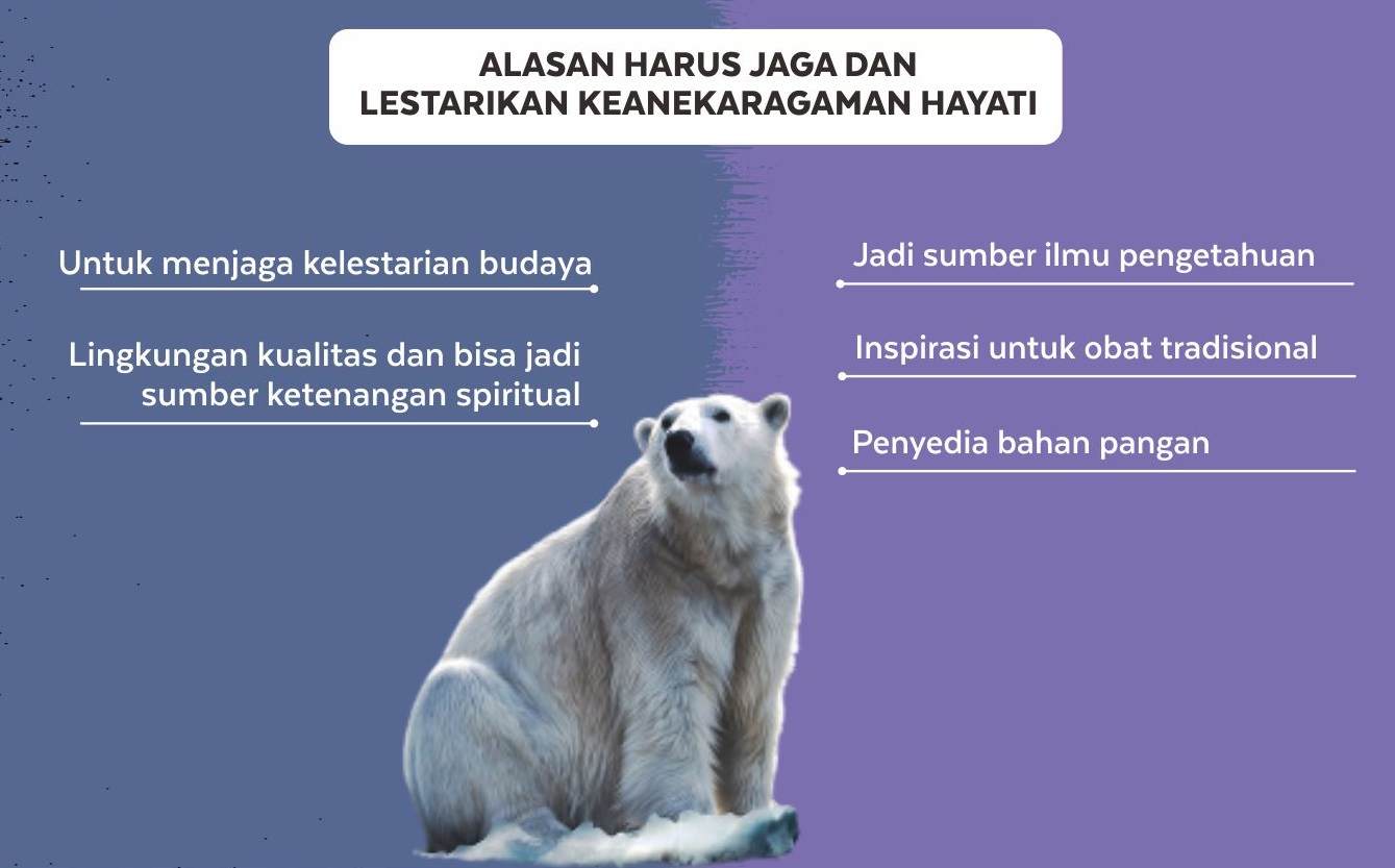 Alasan Harus Jaga dan Lestarikan Keanekaragaman Hayati