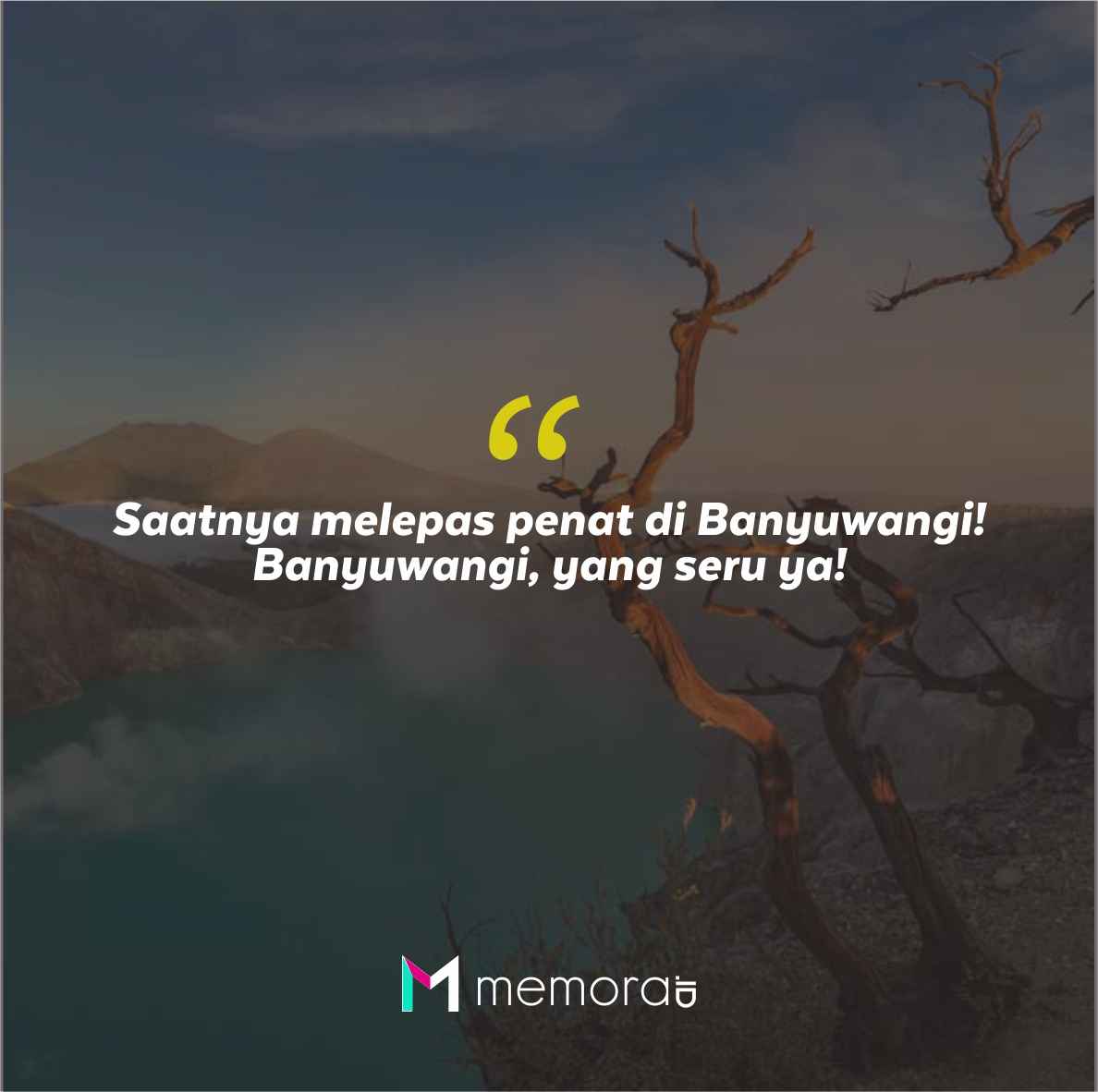 Quotes Aesthetic Tentang Banyuwangi dan Kata-Kata Mutiara Liburan di Banyuwangi