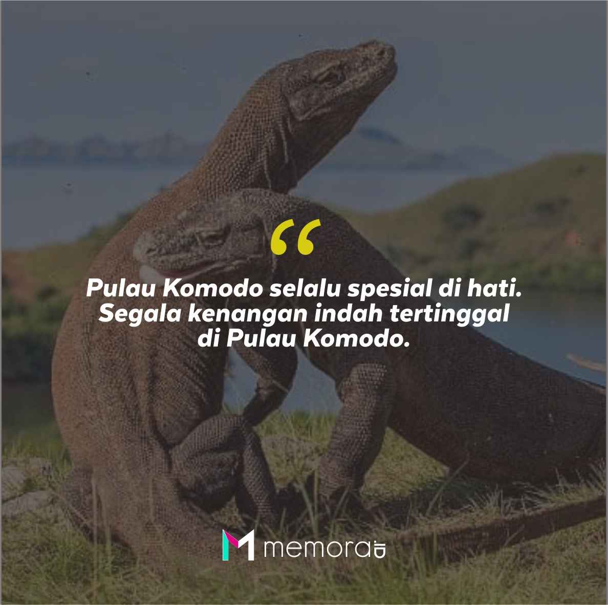 Quotes Aesthetic Tentang Pulau Komodo dan Kata-Kata Mutiara Liburan di Pulau Komodo