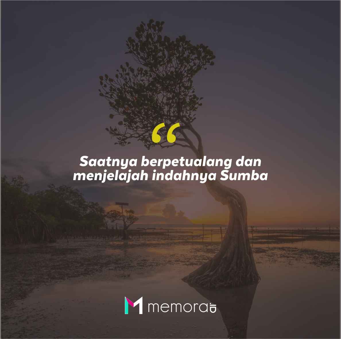 Quotes Aesthetic Tentang Sumba dan Kata-Kata Mutiara Liburan di Sumba