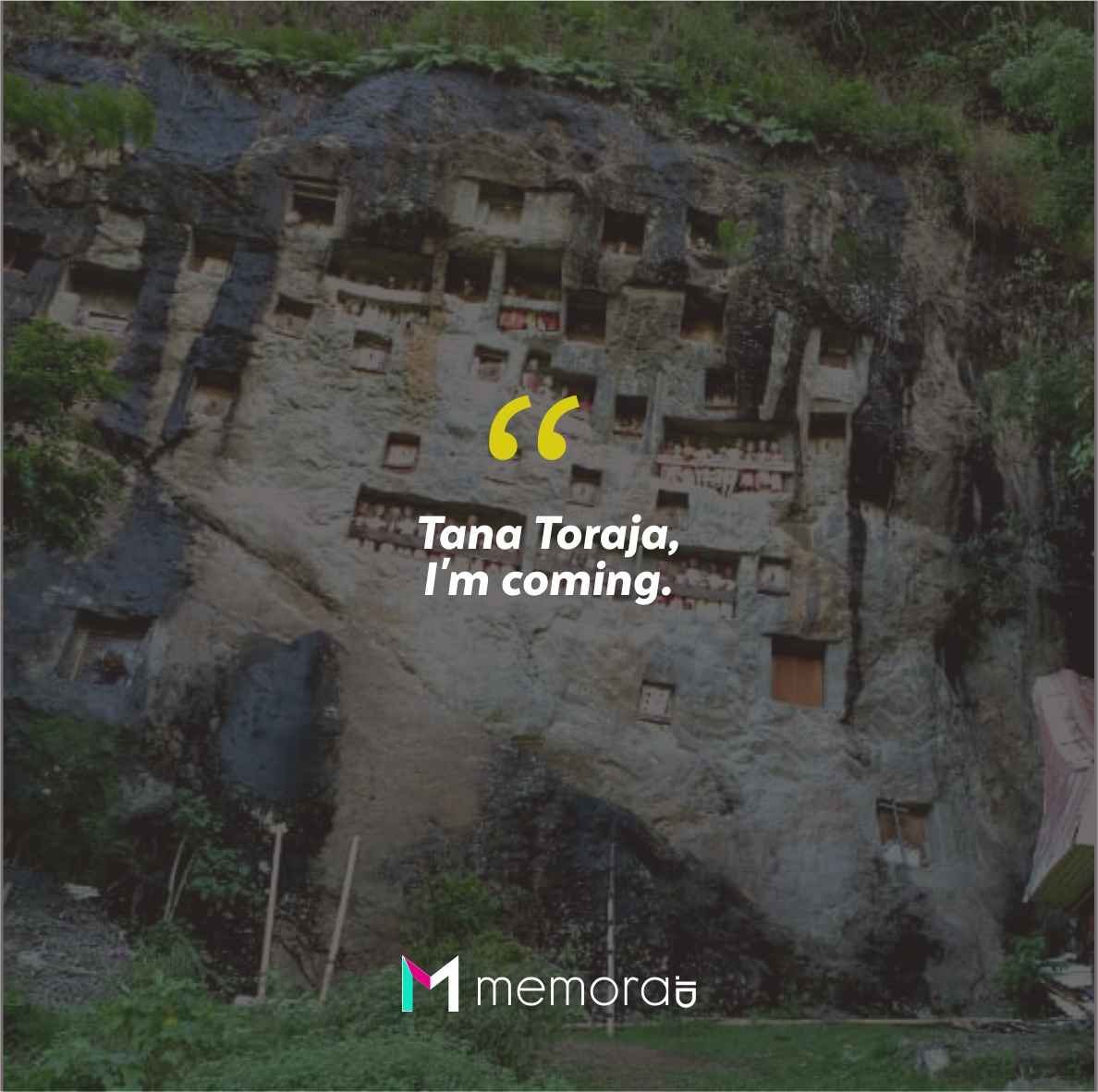 Quotes Aesthetic Tentang Tana Toraja dan Kata-Kata Mutiara Liburan di Tana Toraja