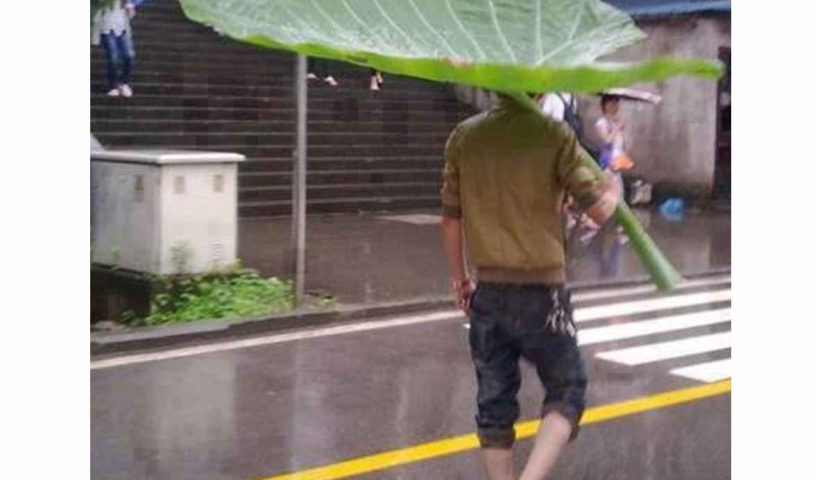 Cara Unik Pakai Payung Ini Bikin Ketawa Salto Lalu Kayang