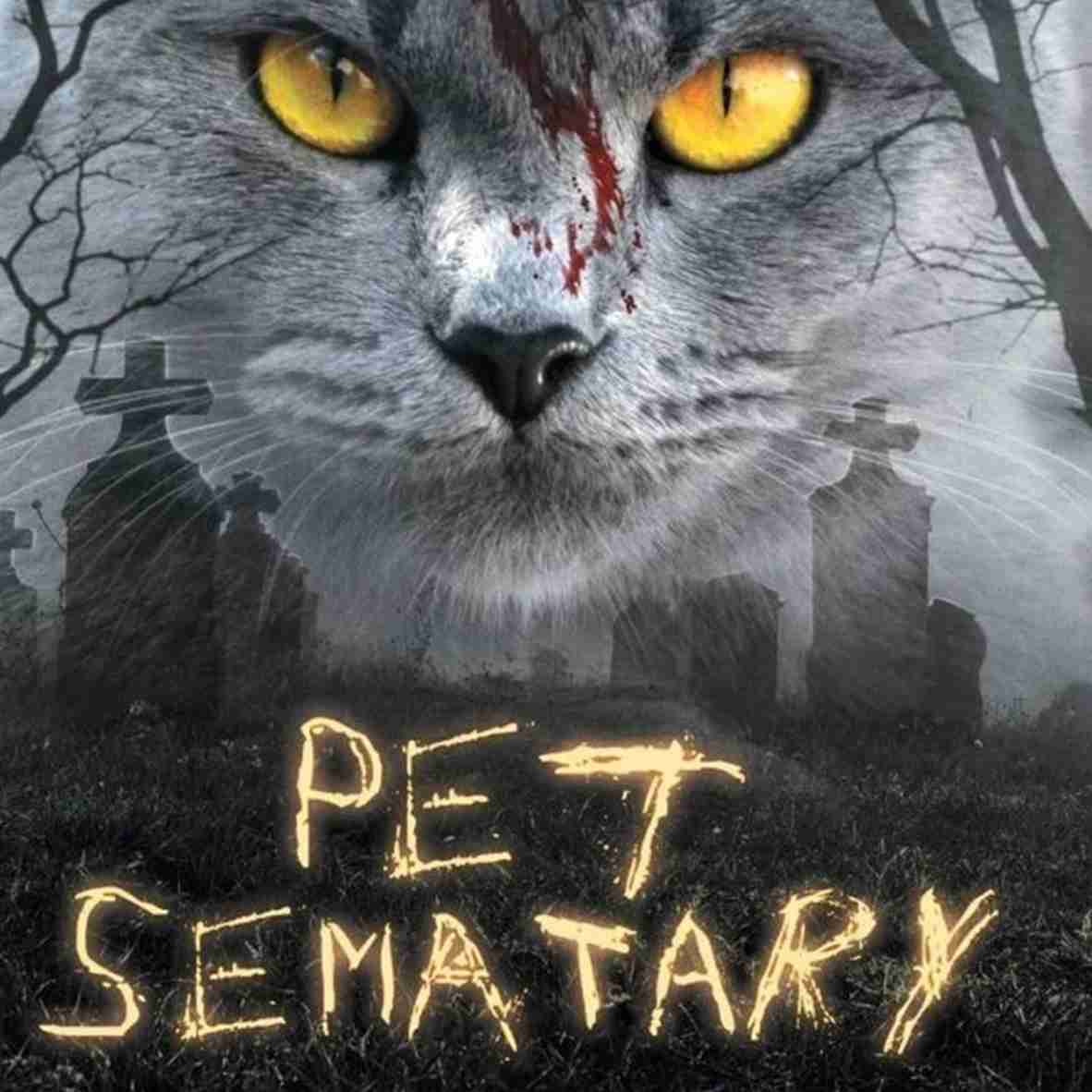 Ringkasan Cerita Pet Sematary Karya Stephen King, Lengkap Amanat Cerita