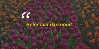 Quotes Bijak Bahasa Belanda